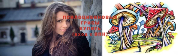 стафф Алексеевка