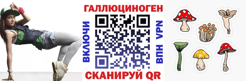 Галлюциногенные грибы Psilocybine cubensis  Краснокамск 